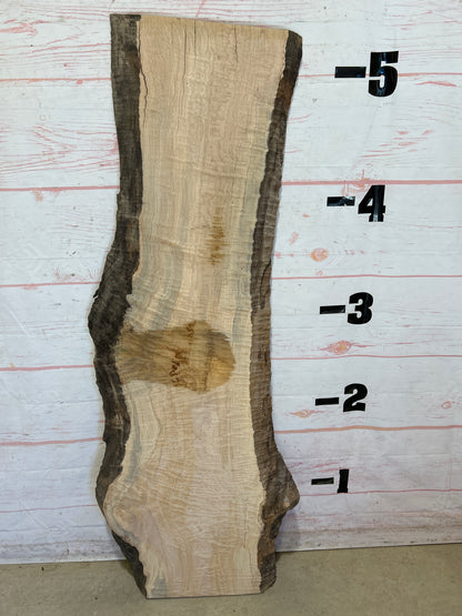 Live Edge Curly Maple Sku#26020E-19