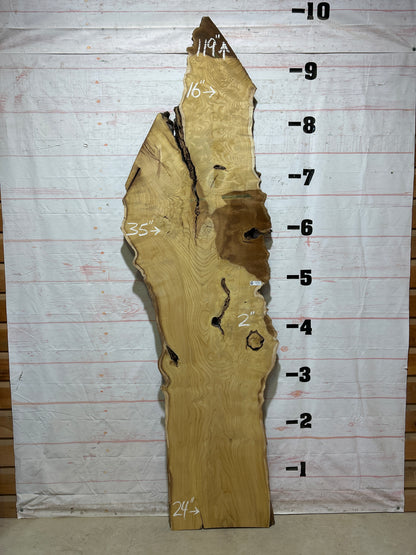 Live Edge Mulberry Sku#26936-43