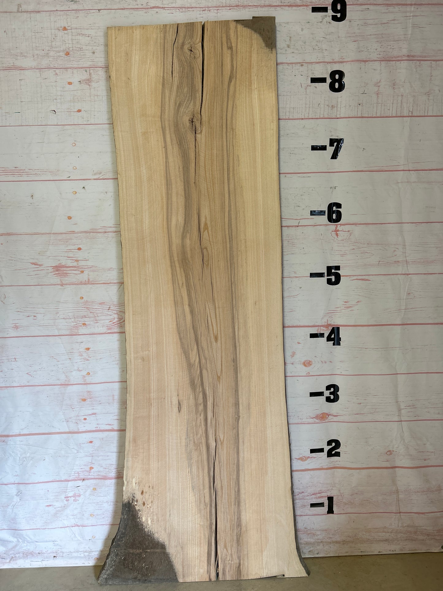 Live Edge Ash Sku#24177-51