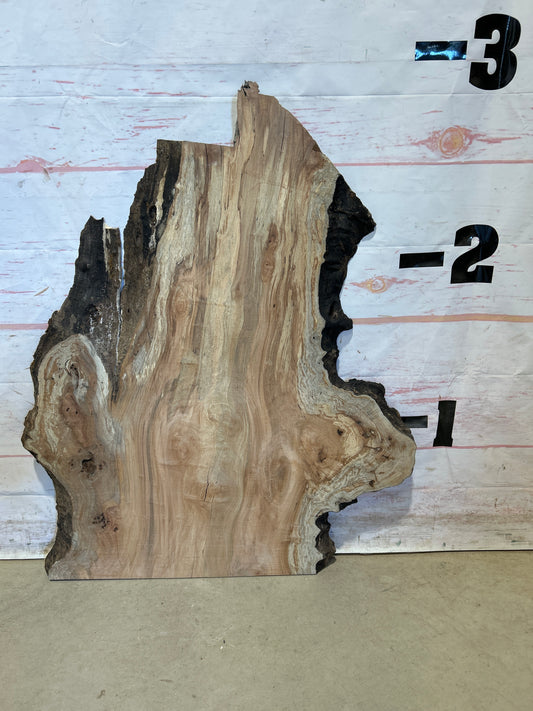 Live Edge Maple Sku#27102M-5