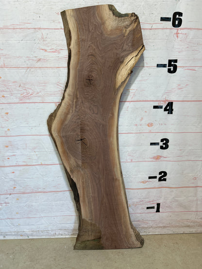 Live Edge Walnut Sku#25888A-22