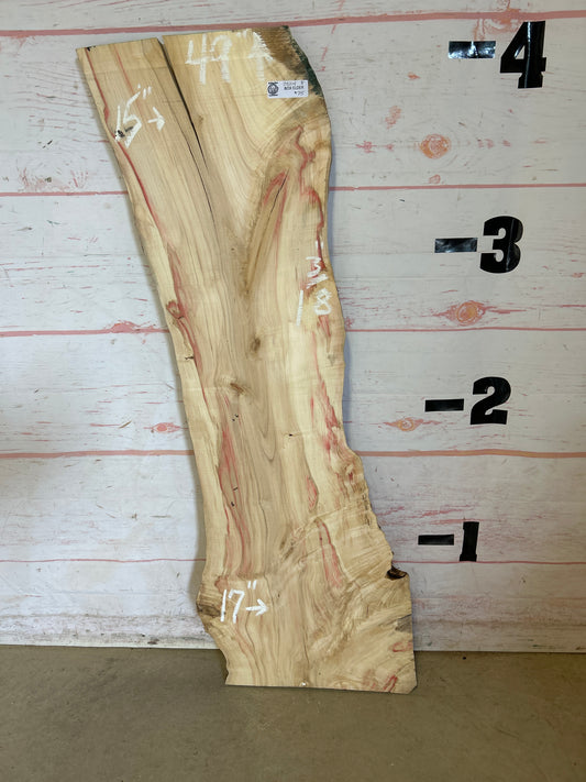 Live Edge Box Elder Sku25214M-8