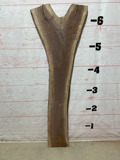 Live Edge Walnut Sku#26826M-15