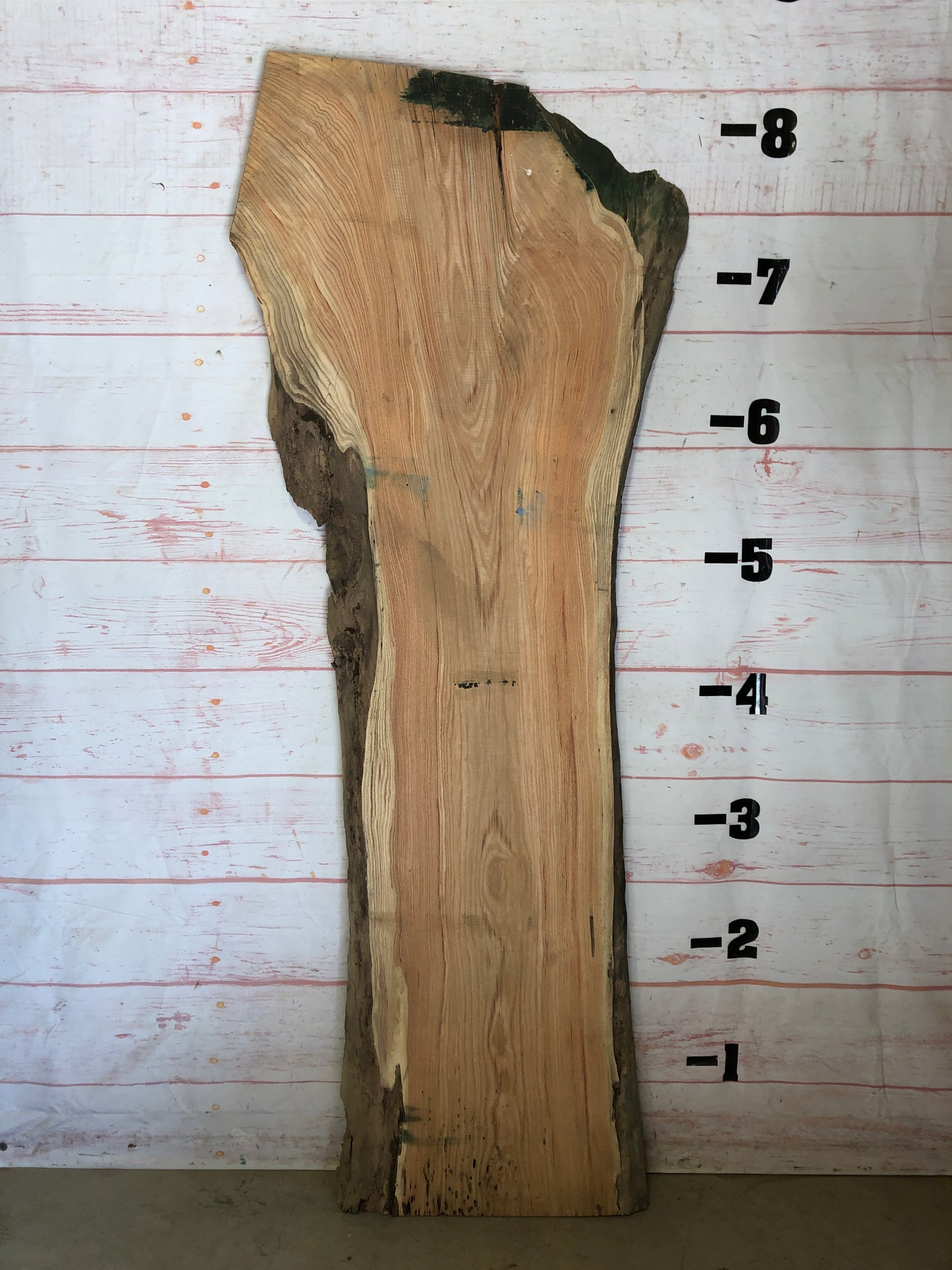 Live Edge Honey Locust Sku# 22547-58