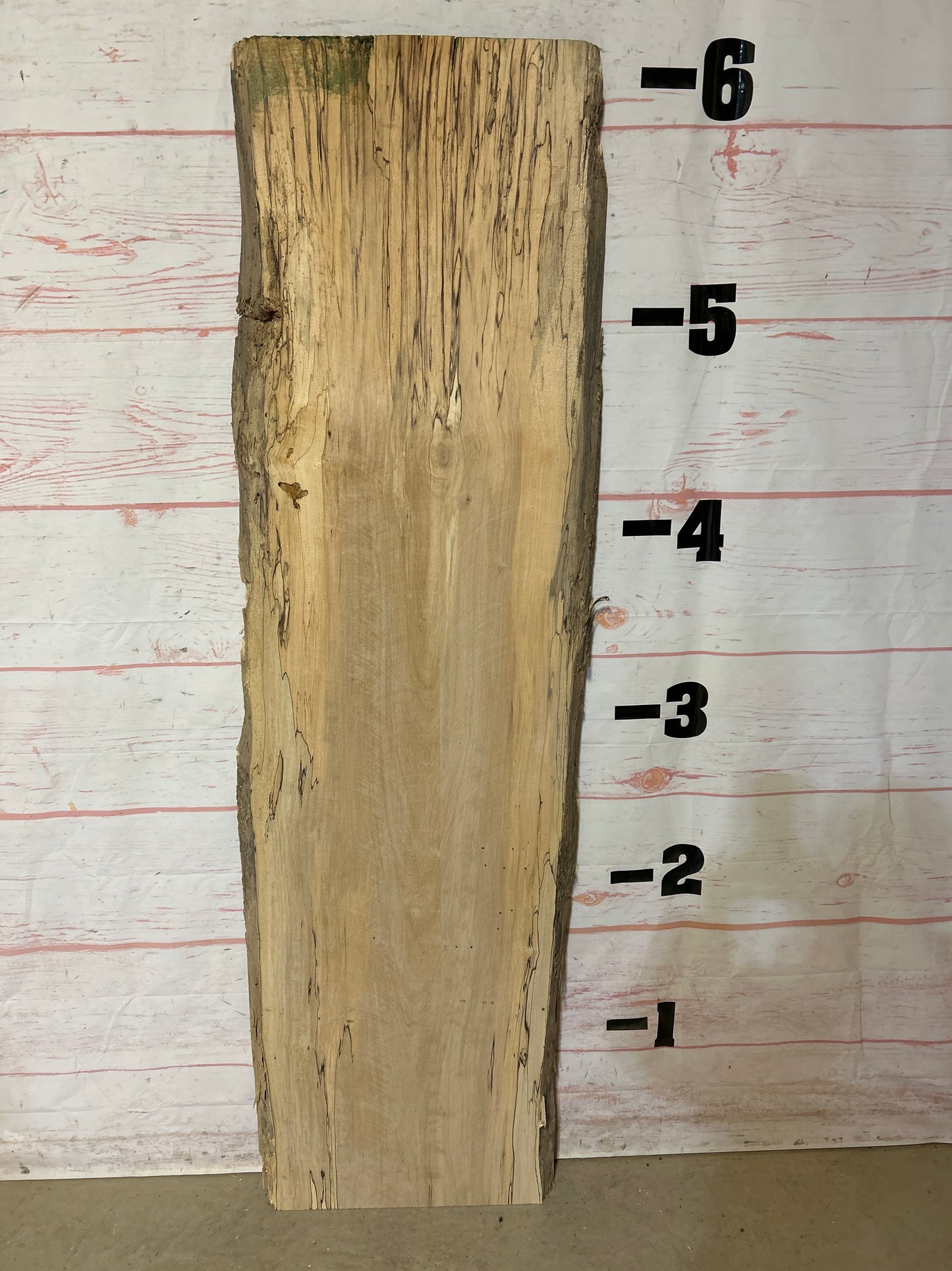 Live Edge Spalted Maple Sku#24447E-22