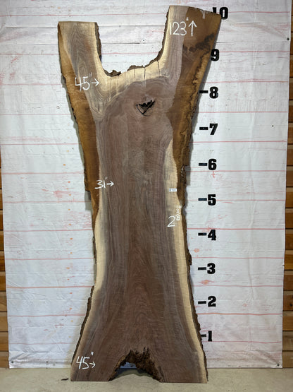 Live Edge Walnut Sku#26237S-81