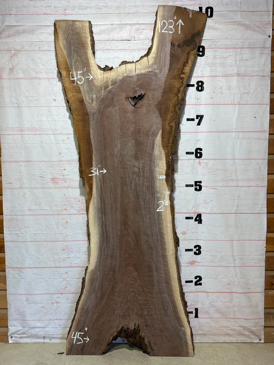 Live Edge Walnut Sku#26237S-81