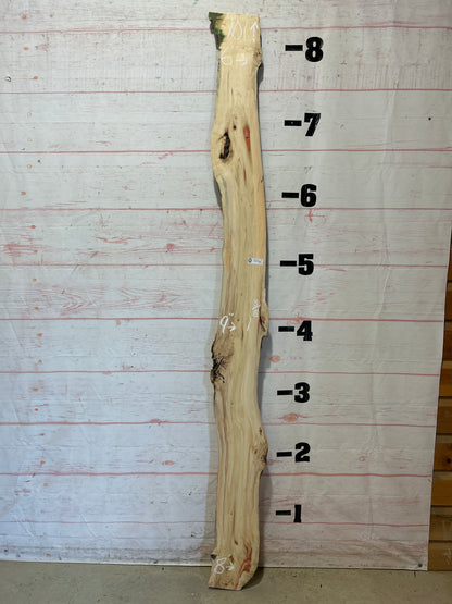 Live Edge Box Elder Sku#25751D-8