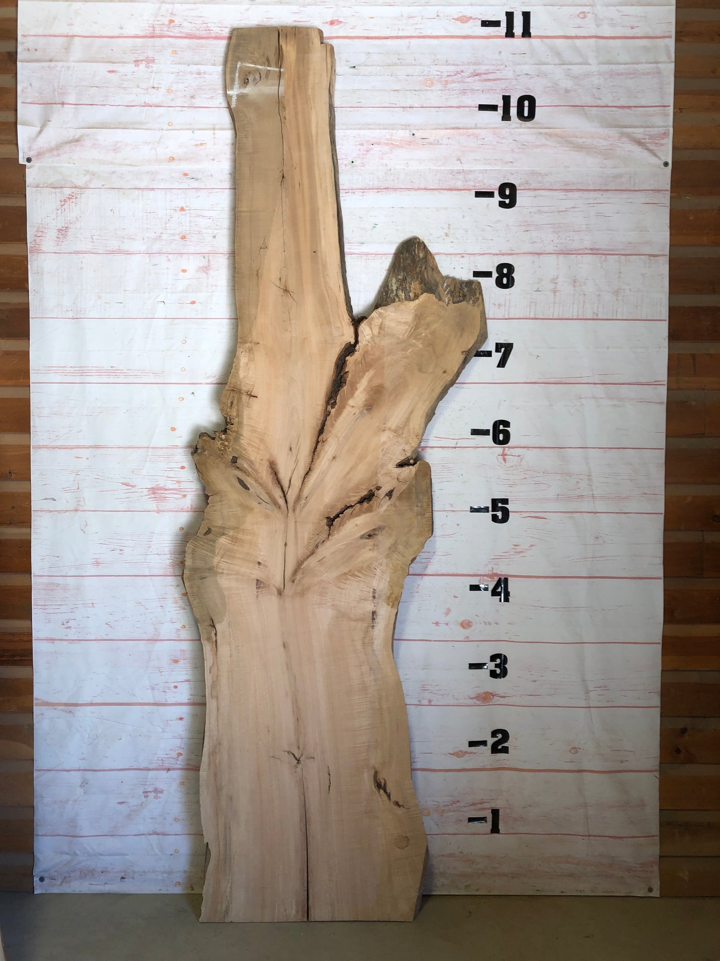 Live Edge Hard Maple Sku#23256-49