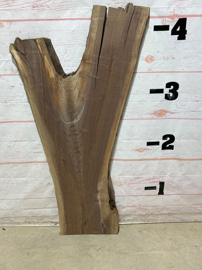 Live Edge Walnut Sku#25678M-9