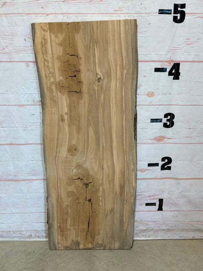 Live Edge Ash Sku# 26487H-19