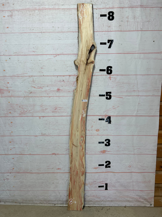 Live Edge Box Elder Sku#25742D-7