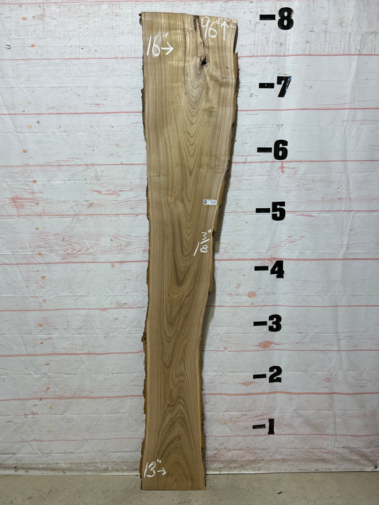 Live Edge Catalpa Sku#26310-15