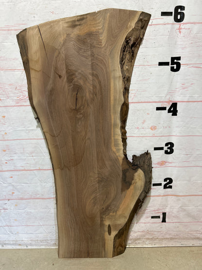 Live Edge Walnut Sku#26590N-29