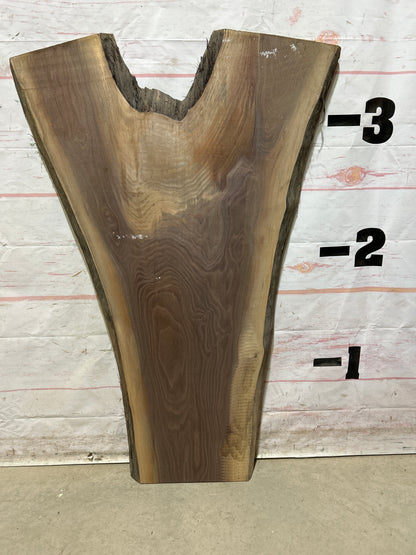 Live Edge Walnut Sku#26636M-9