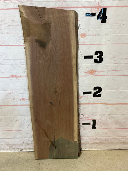 Live Edge Walnut Sku#26110A-11