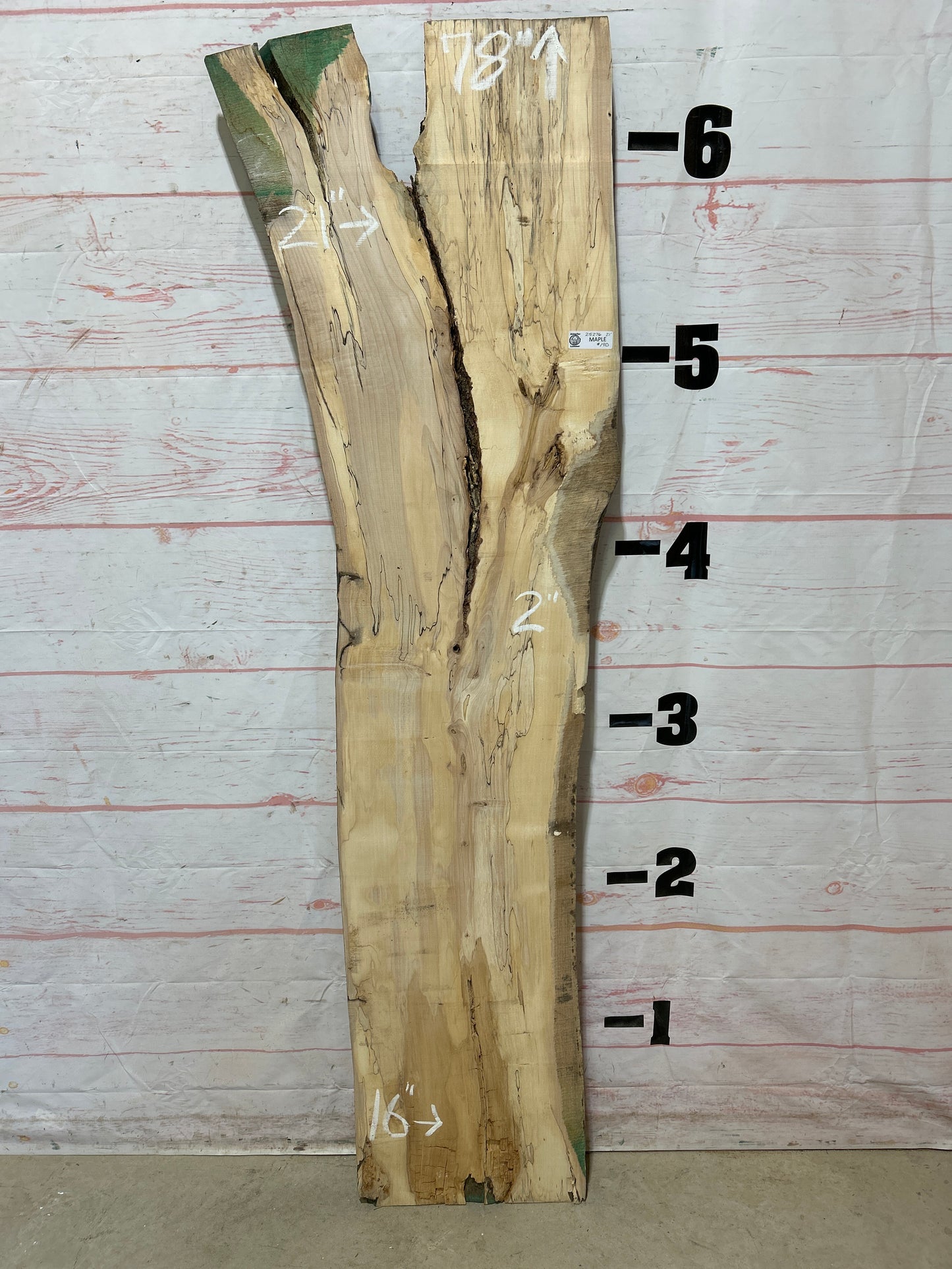 Live Edge Spalted Maple Sku#25276B-21