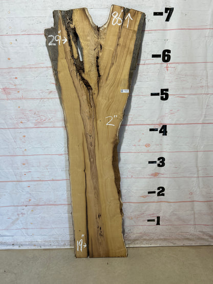 Live Edge Mulberry Sku#27107-29