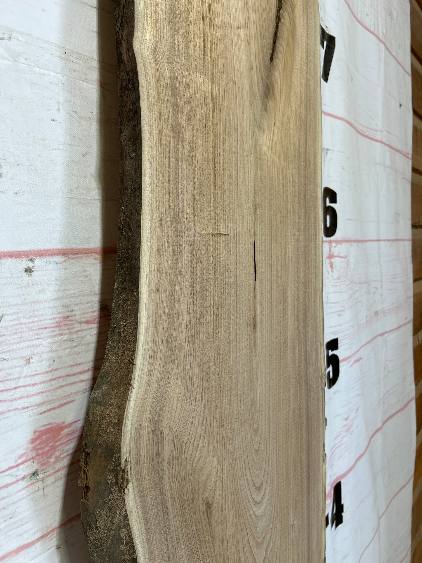 Live Edge Butternut Sku#25943-19