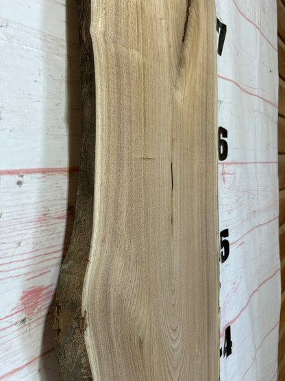 Live Edge Butternut Sku#25943-19