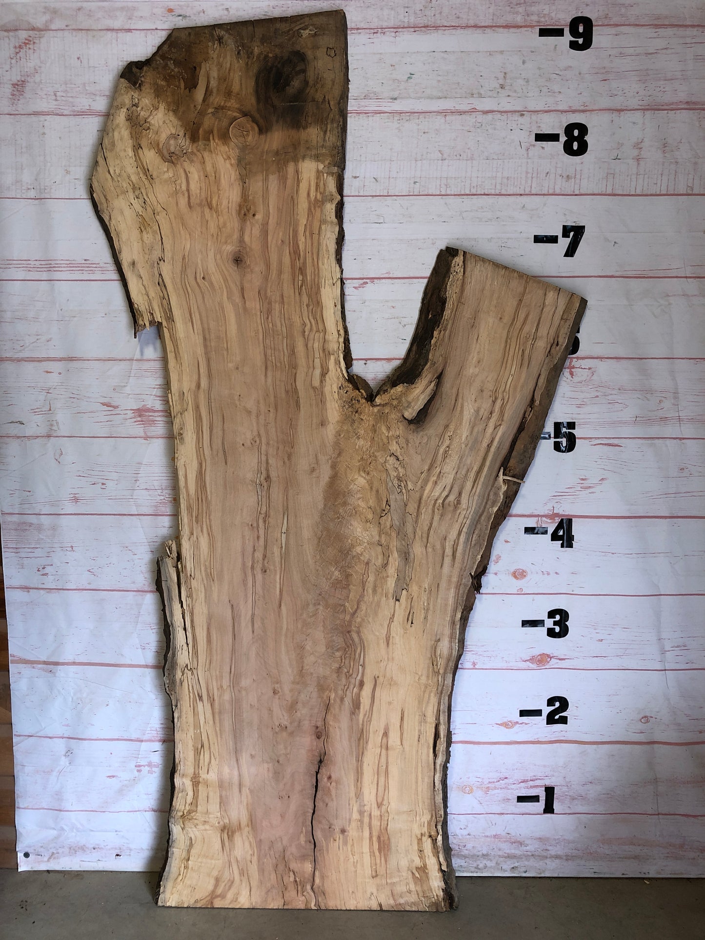 Live Edge Spalted Maple Sku#23552S-64