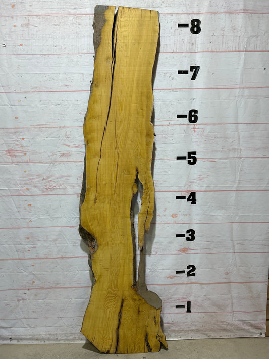 Live Edge Osage Orange Sku#27038B-25