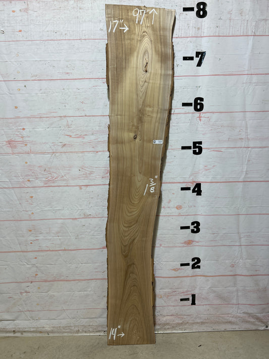 Live Edge Catalpa Sku#26311-16