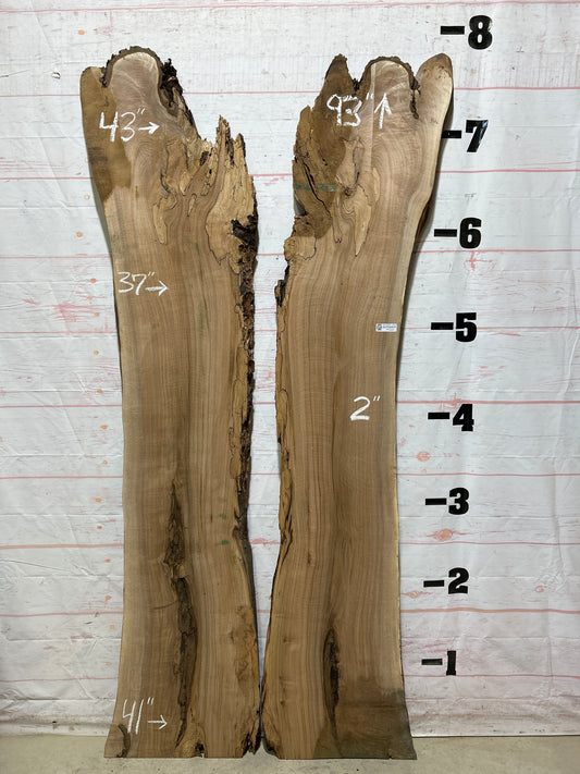 Live Edge Butternut Sku#26753S-52