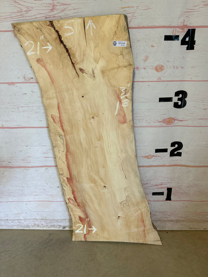 Live Edge Box Elder Sku25212M-11