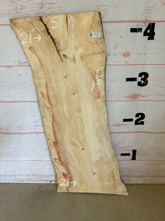 Live Edge Box Elder Sku25212M-11