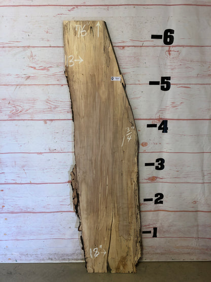 Live Edge Spalted Maple Sku#22676E-15