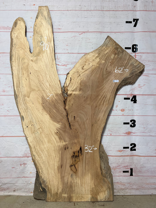 Live Edge Palm Sku# 21032-41