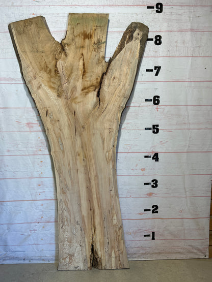 Live Edge Maple Sku#26379-61