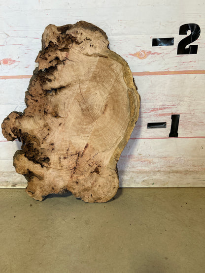 Live Edge Cherry Cookie Sku#25141M