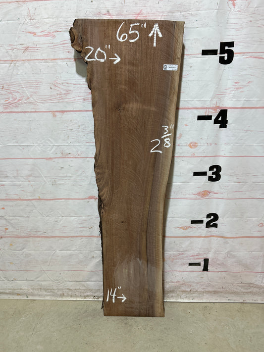 Live Edge Walnut Sku#26867A-19