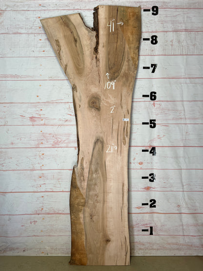 Live Edge Ambrosia Maple Sku# 21162-34