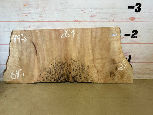 Live Edge Maple Sku#23643B-23