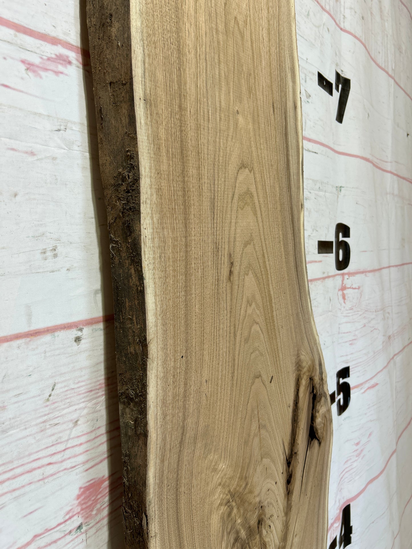Live Edge Butternut Sku#25944-18