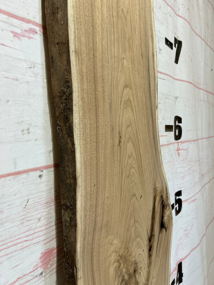 Live Edge Butternut Sku#25944-18