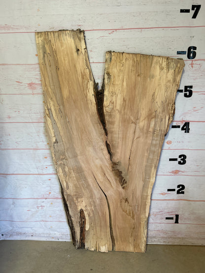 Live Edge Spalted Maple Sku#23923S-41