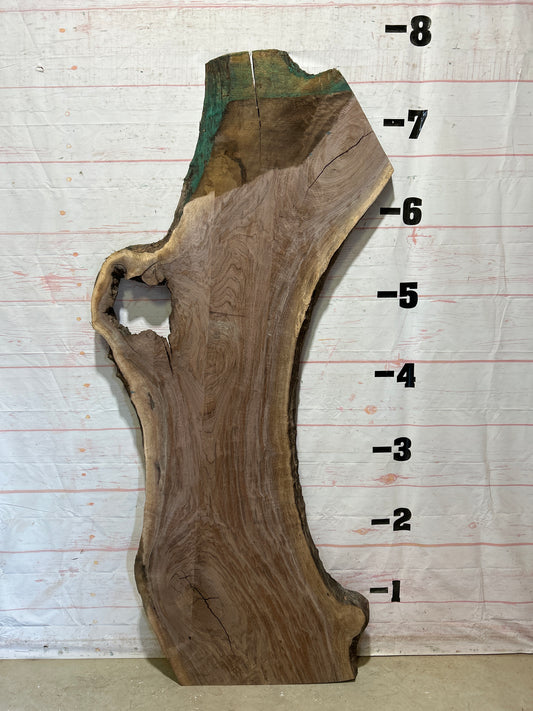 Live Edge Walnut Sku#27001-36