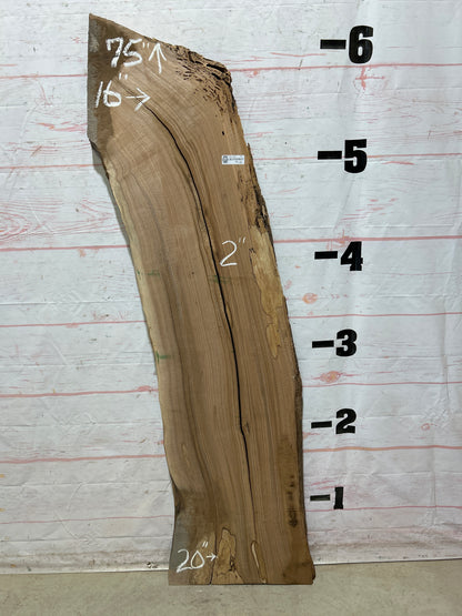 Live Edge Butternut Sku#26751-19