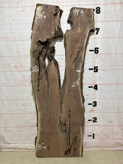 Live Edge Walnut Sku#27199J-50