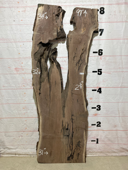 Live Edge Walnut Sku#27199J-50