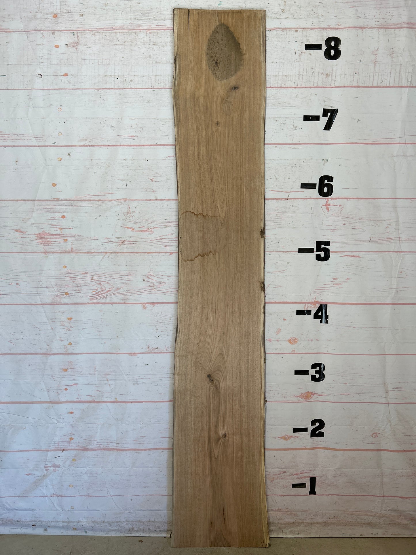 Live Edge Butternut Sku#26328C-19
