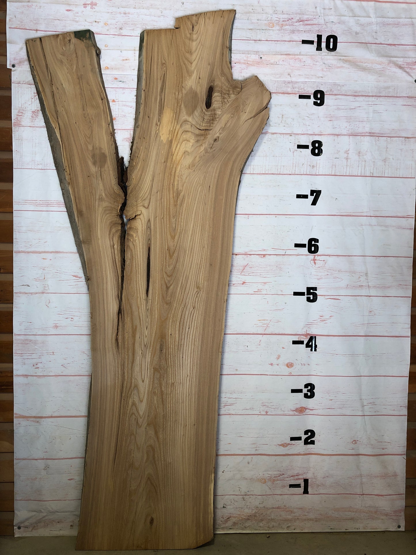 Live Edge Elm Sku#22639-73