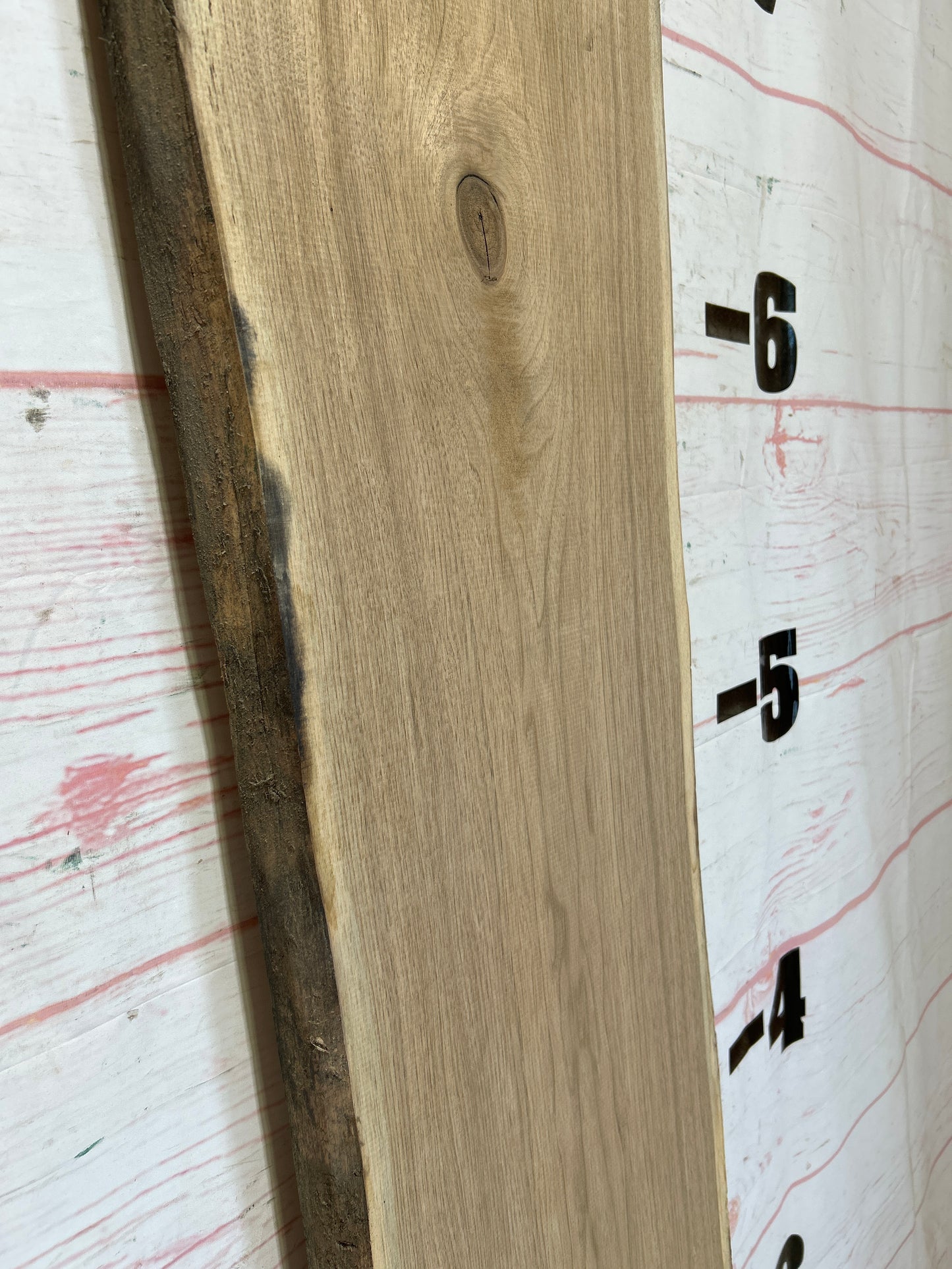 Live Edge Butternut Sku#25941C-14