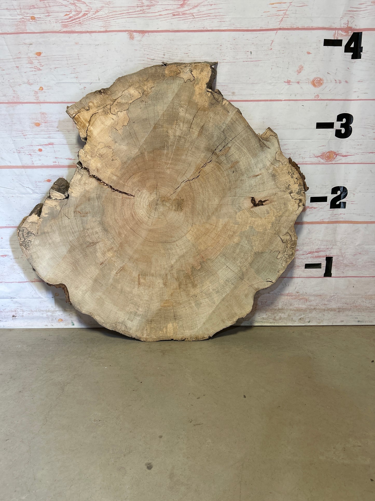 Live Edge Maple Cookie #24003M