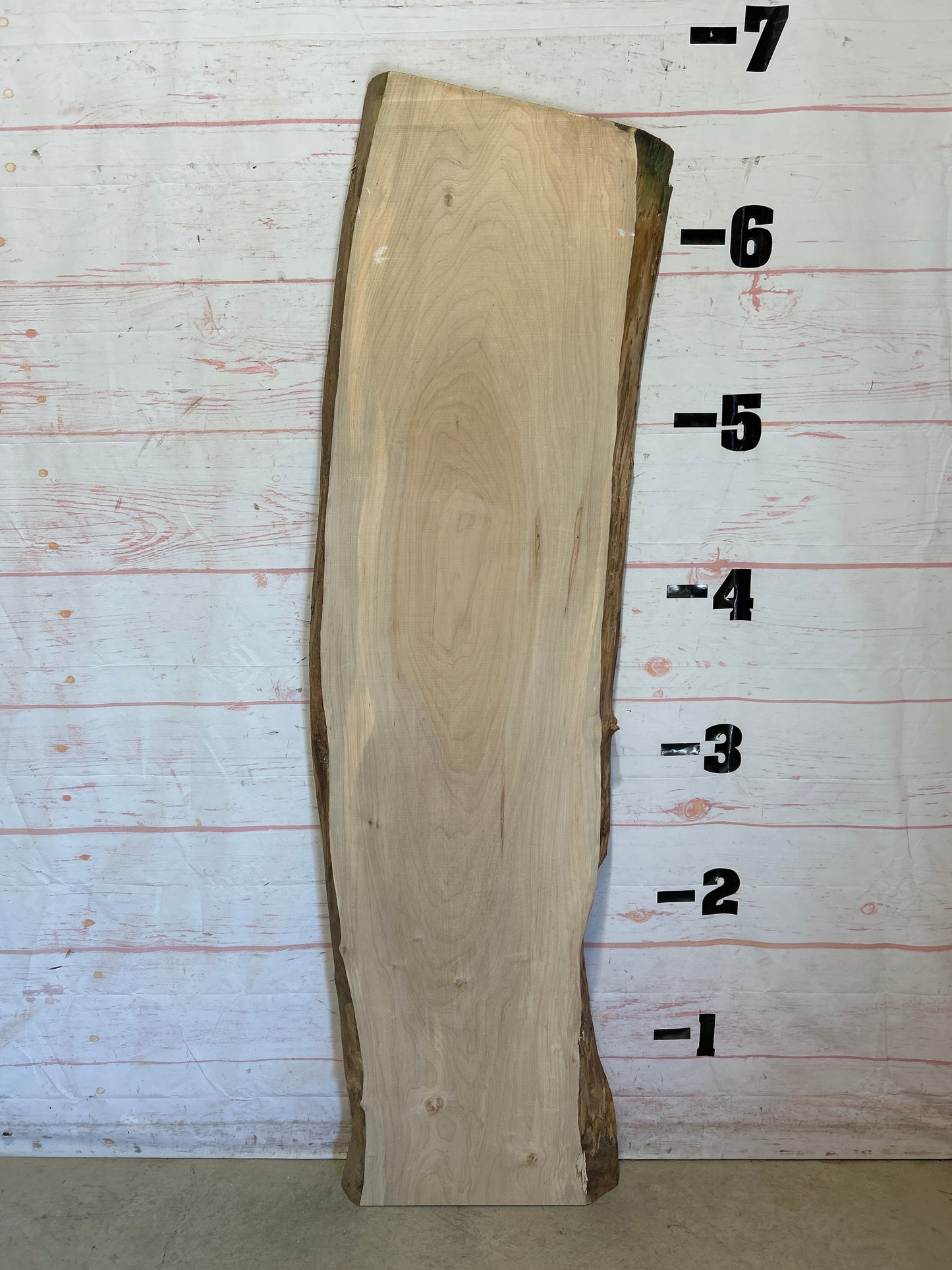 Live Edge Maple Sku#26199E-22