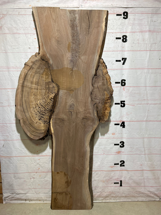Live Edge Walnut Sku#26887-75